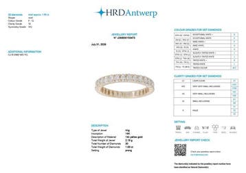 Eeuwigheidsring - 14 karaat Geel goud - 1.69ct. tw. Diamant