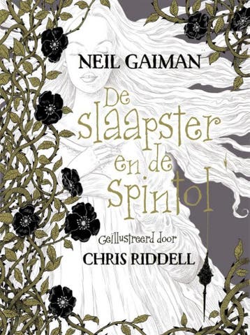De slaapster en de spintol 9789463490108 Neil Gaiman, Verzenden, Zo goed als nieuw, Neil Gaiman