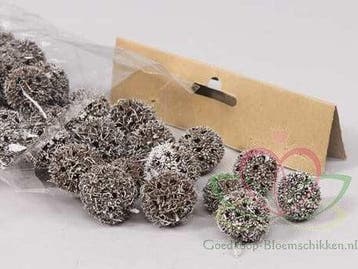 Liquidambar Fruit White Wash 100 gram kleinverpakking, Nieuw