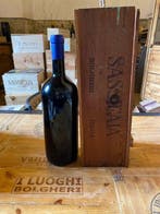 1988 Tenuta San Guido, Sassicaia - Bolgheri - 1 Magnum (1,5