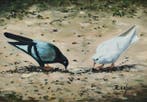 R. Casal - Palomas