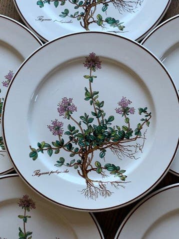 Villeroy & Boch - Eetservies voor 6 (6) - Botanica -