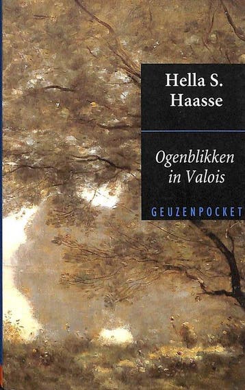 Ogenblikken in Valois - Haasse, Verzenden, Nieuw