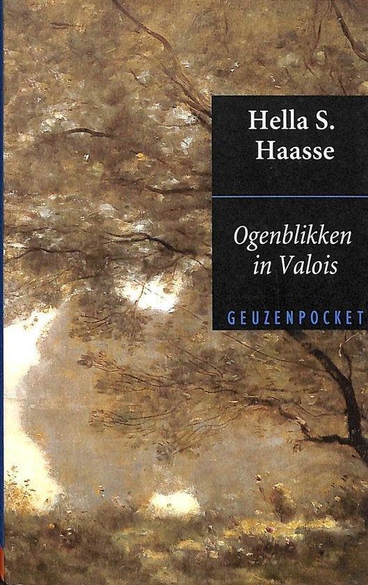 Ogenblikken in Valois - Haasse, Livres, Littérature, Envoi