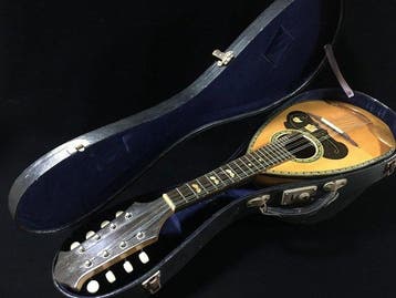 Suzuki - No.208 - - Mandoline - Japan (Zonder minimumprijs), Muziek en Instrumenten, Nieuw