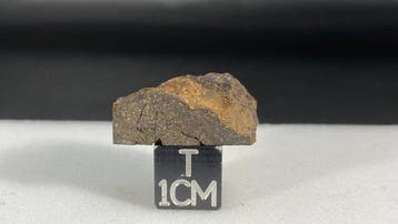 Chondrite carbonée (CO3) Nwa 15898 ! sans prix de réserve !!