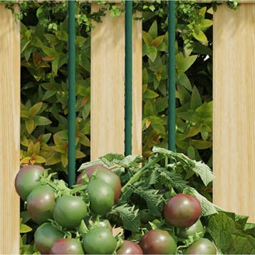 vidaXL Plantenstaken 30 st 60 cm staal groen, Verzenden