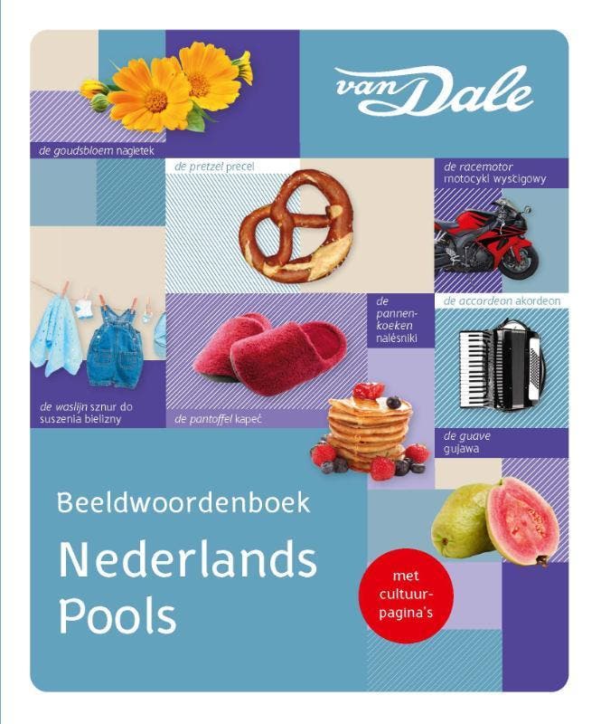 Van Dale Beeldwoordenboek Nederlands/Pools / Van Dale, Boeken, Woordenboeken, Zo goed als nieuw, Verzenden