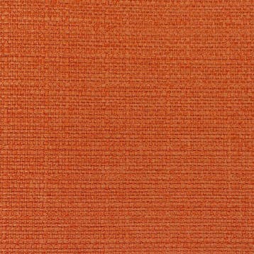 Alleen geselecteerd voor Catawiki 5,00 × 1,40 meter!!!, Antiek en Kunst