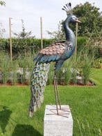 Staande pauw - Figurine - Métal