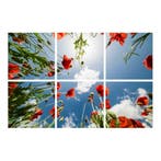 Klaprozen plafond Fotoprint verdeeld over 6 panelen 60x60 cm, Verzenden, Nieuw