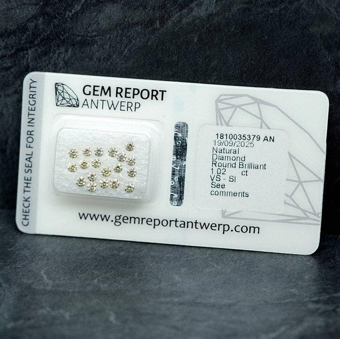 19 pcs Diamant (Natuurlijk) - 1.02 ct - Rond - VS1, SI1 -, Handtassen en Accessoires, Edelstenen