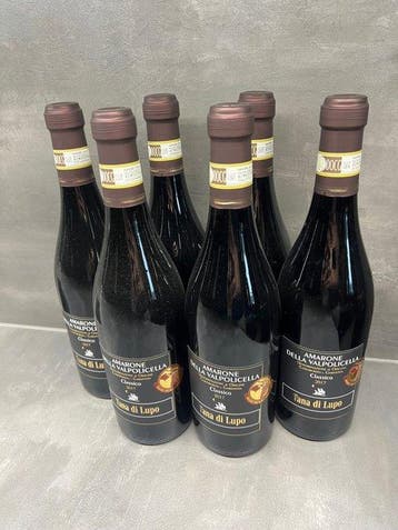 2017 Tana di Lupo - Amarone della Valpolicella - 6