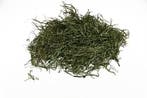 Tillandsia spaansmos forestmos appelgroen 250–300 gram