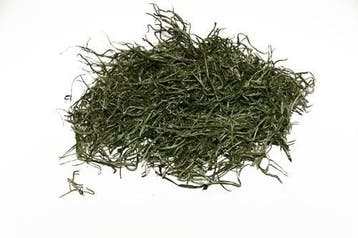 Tillandsia spaansmos forestmos appelgroen 250–300 gram