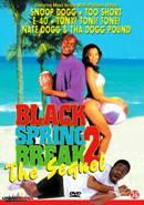 Black spring break 2 op DVD, CD & DVD, Verzenden