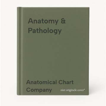 Anatomy & Pathology 9780781773560 Anatomical Chart Company, Boeken, Verzenden, Gelezen, Anatomical Chart Company