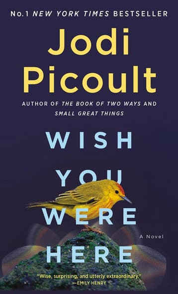 Wish You Were Here 9780593598641 Jodi Picoult, Verzenden, Jodi Picoult