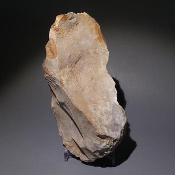 Michelsberg, Néolithique Grand silex, 14 cm de long. Couteau, Collections, Minéraux & Fossiles
