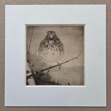 Jan Mankes (1889-1920) - Vogel op tak