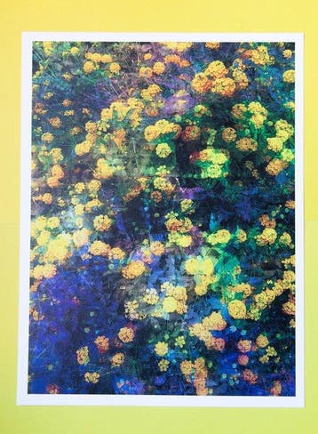 Viet Ha Tran - Portrait of yellow