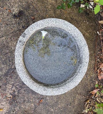 waterbekken - Graniet - Japan - Shwa periode (1926-1989), Antiek en Kunst