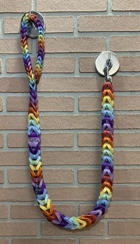 Lederen honden riem Rainbow, Autos : Pièces & Accessoires, Autres pièces automobiles, Enlèvement ou Envoi