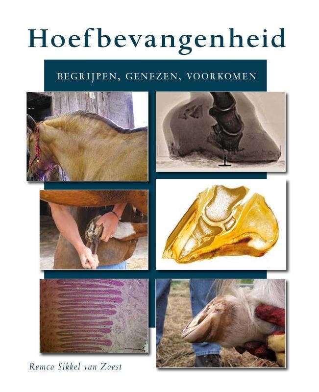Hoefbevangenheid 9789079249268 Remco Sikkel van Zoest, Boeken, Wetenschap, Zo goed als nieuw, Verzenden