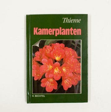KAMERPLANTEN - Bechtel, Verzenden