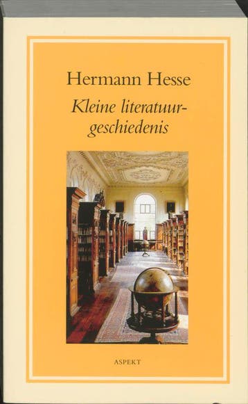Kleine literatuurgeschiedenis 9789059110687 Hermann Hesse, Boeken, Verzenden, Zo goed als nieuw, Hermann Hesse
