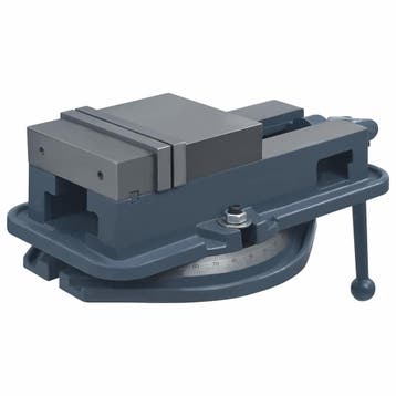 vidaXL Bankschroef draaibaar 160 mm gietijzer, Verzenden