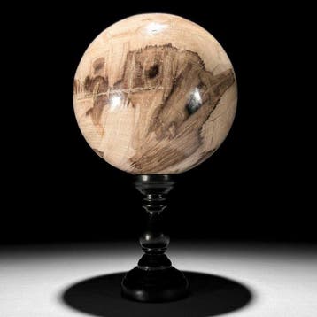 Prachtig paar ballen van versteend hout op een op maat