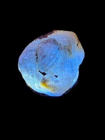 Saffier Prachtige bicolor Teal/Blauwe saffier. “Volledig