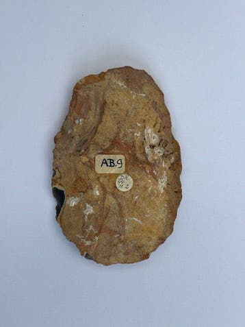 Neolithisch Silex Neolithische bijl/kernschrabber - 90 cm