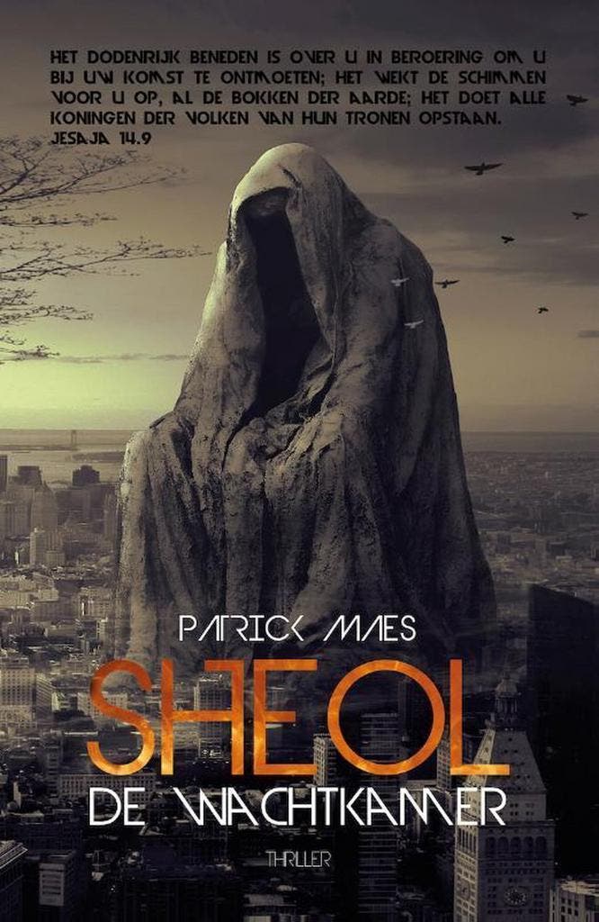 Sheol, de wachtkamer 9789493111127 Patrick Maes, Boeken, Thrillers, Gelezen, Verzenden