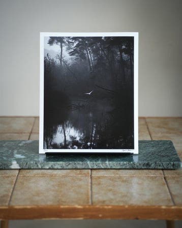 Gosse Bouma - FLIGHT OF THE HERON
