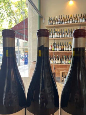 2017 Descendientes de J. Palacios, Valdafoz - Bierzo - 3