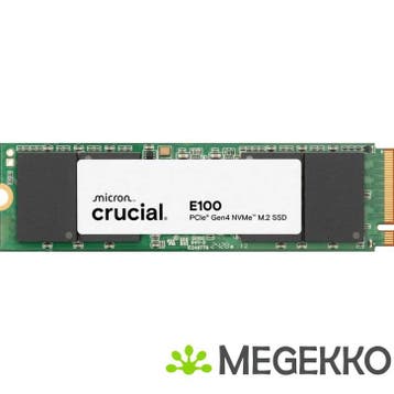 Crucial SSD E100 1TB, Verzenden, Nieuw