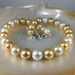 Collier Argent Perle - Rainbow SSP Ø11,5×14 mm, Nieuw