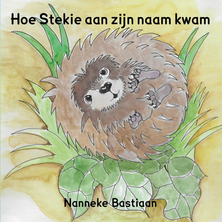 Hoe Stekie aan zijn naam kwam 9789492469137 Nanneke Bastiaan, Livres, Livres pour enfants | Jeunesse | 13 ans et plus, Envoi