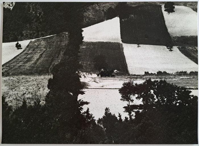 Mario Giacomelli (1925–2000) - Settembre, Antiquités & Art, Art | Objets design