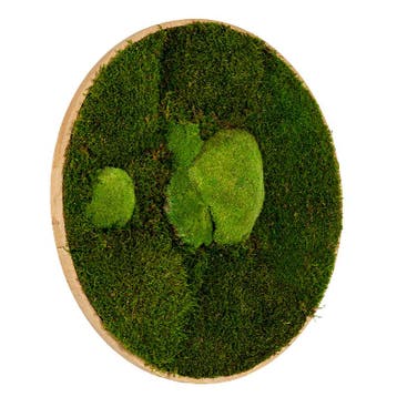 Mosschilderij Rond 60 cm Ongelakt Eiken - Esbjerg, Verzenden, Nieuw