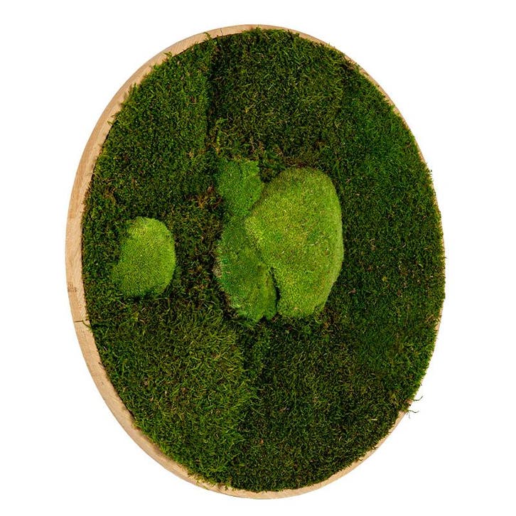 Mosschilderij Rond 60 cm Ongelakt Eiken - Esbjerg, Huis en Inrichting, Woonaccessoires | Lijsten, Verzenden