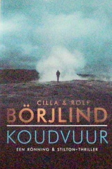 Koudvuur 9789044984378 Cilla Börjlind, Boeken, Verzenden, Gelezen, Cilla Börjlind