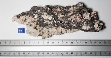 Vetro di WABAR Impactieten - Hoogte: 19 cm - Breedte: 4 cm -, Verzamelen