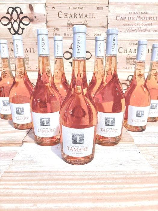 2023 Domaine de Tamary - Provence - 12 Flessen (0.75 liter), Verzamelen, Wijnen