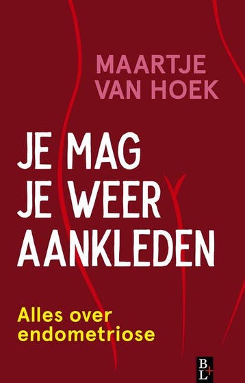 Je mag je weer aankleden 9789461563163 Maartje van Hoek, Verzenden, Zo goed als nieuw, Maartje van Hoek