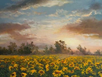 Emre Kinali - Sunset and sunflowers