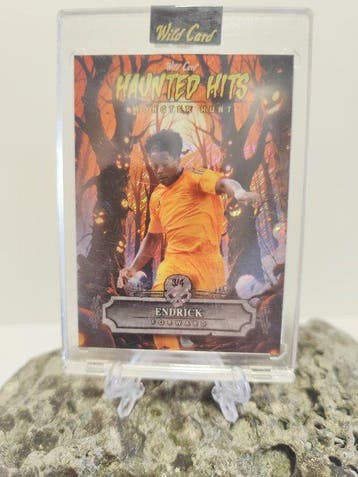 2025 Wild Card Haunted Hits Monster Hunt Endrick HHW-ES, Nieuw