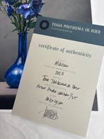 Tessa Posthuma de Boer - Hibiscus